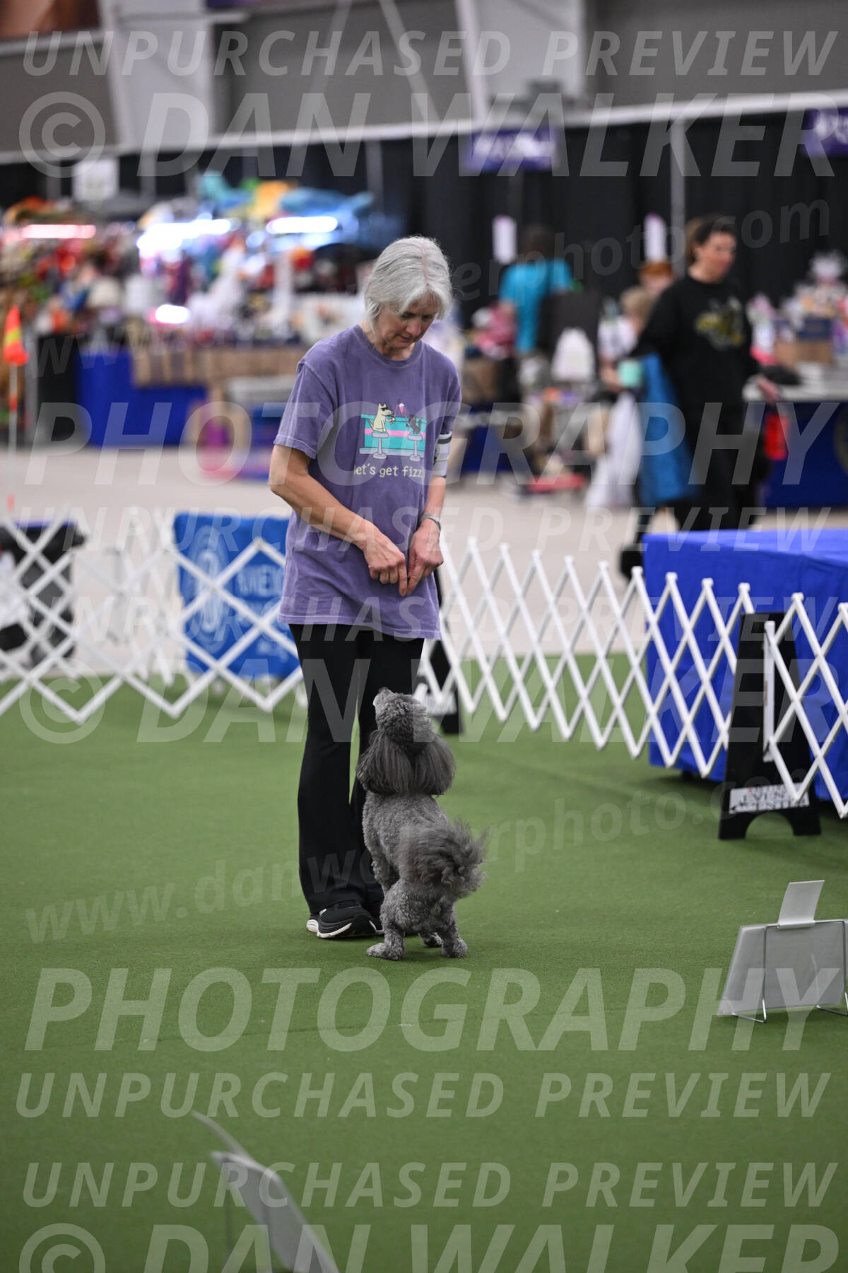 PCA2026-06862