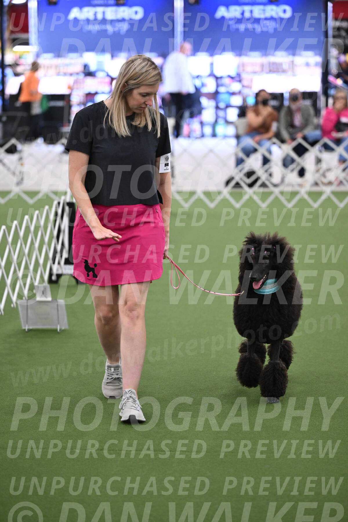 PCA2026-08305