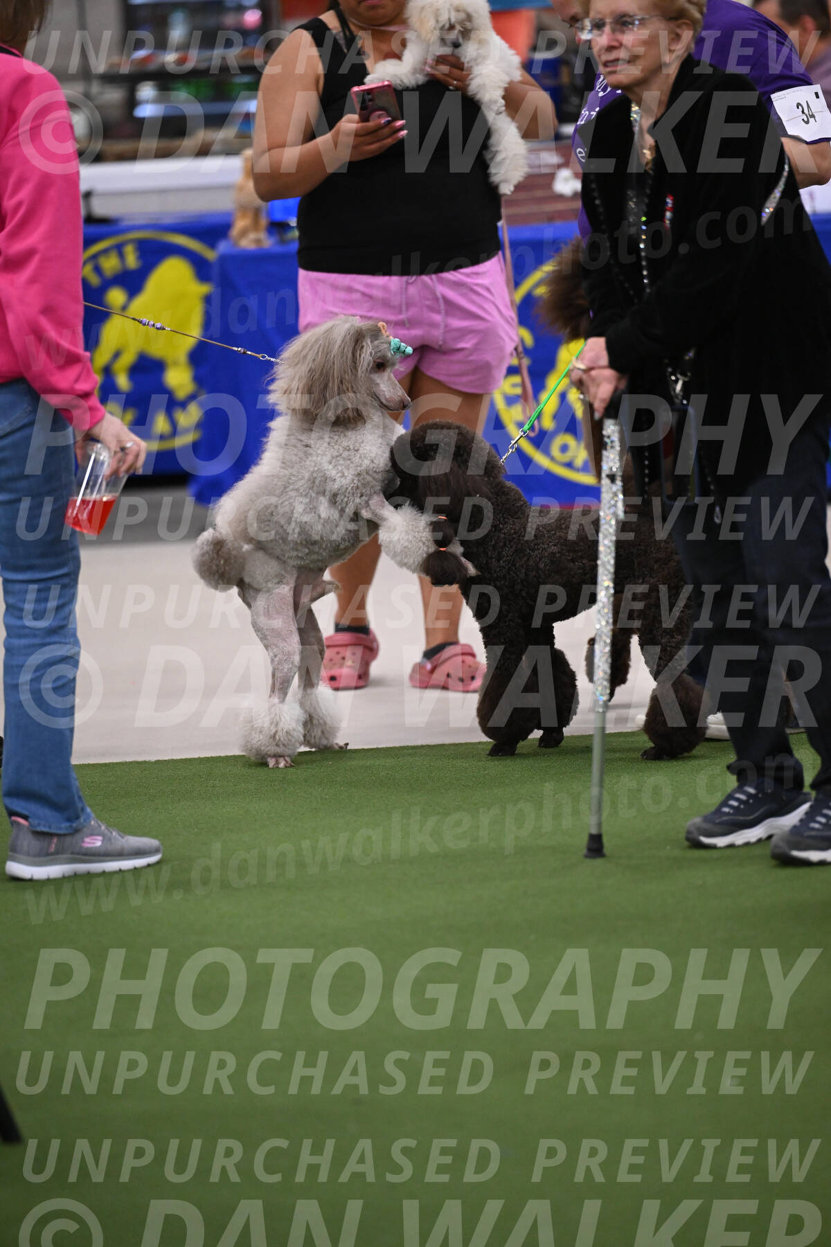 PCA2026-08513