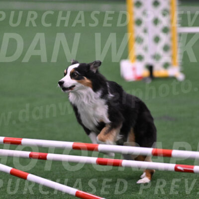 Amazing-Grac-Claudia-Brydon-07549