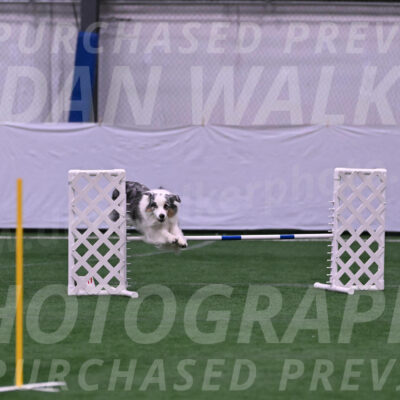Amazing-Grac-Claudia-Brydon-07639