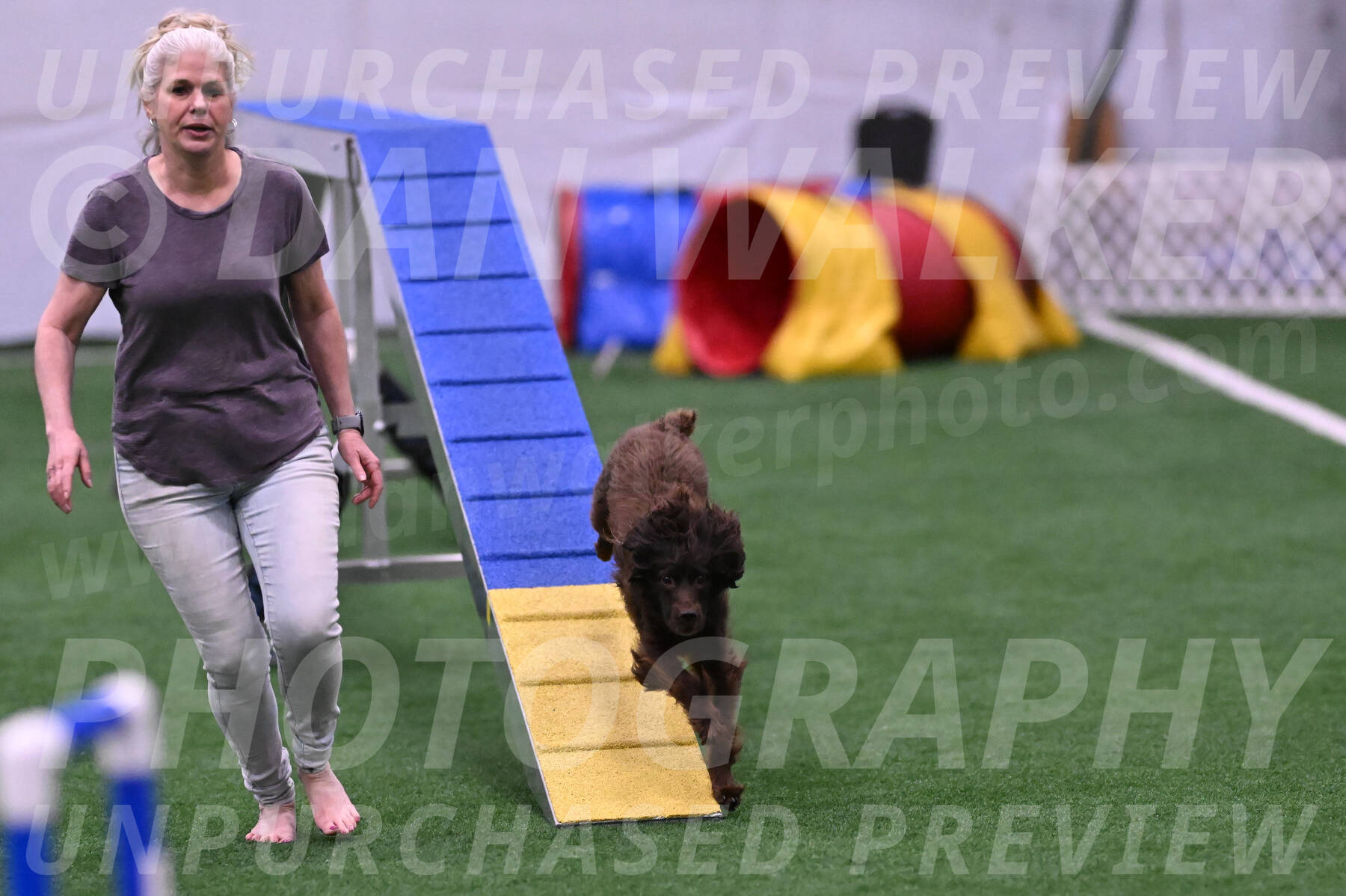 Apple-Elissa-OSullivan-09272