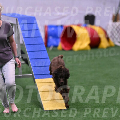 Apple-Elissa-OSullivan-09272