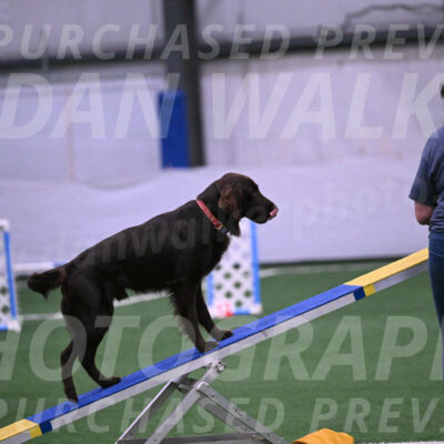 Ares-Holly-Everhart-00845