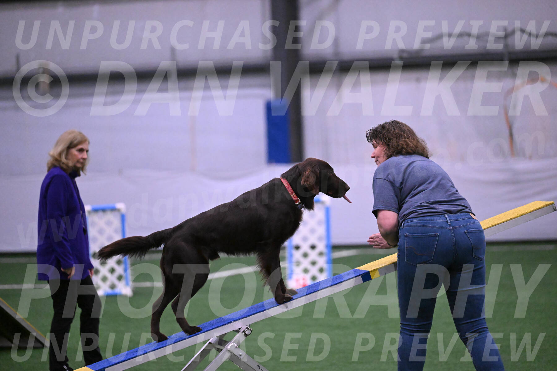 Ares-Holly-Everhart-00861