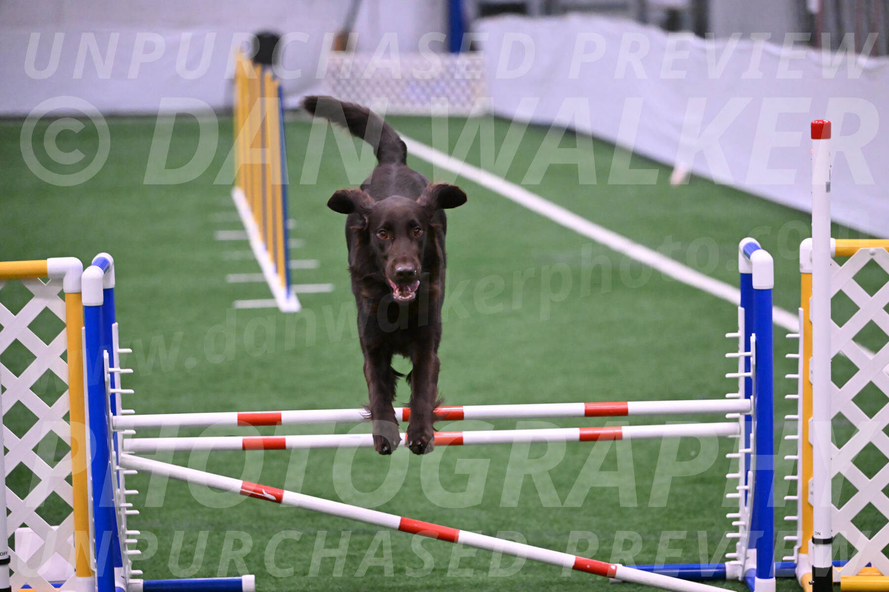 Ares-Holly-Everhart-00902
