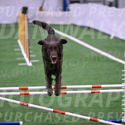 Ares-Holly-Everhart-00902