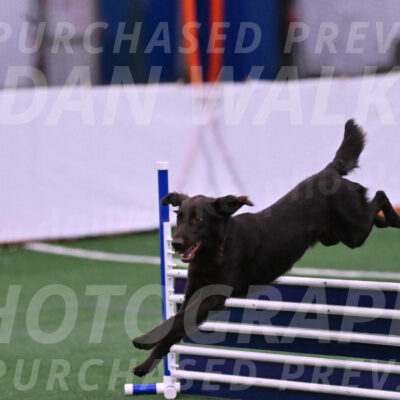 Ares-Holly-Everhart-00913