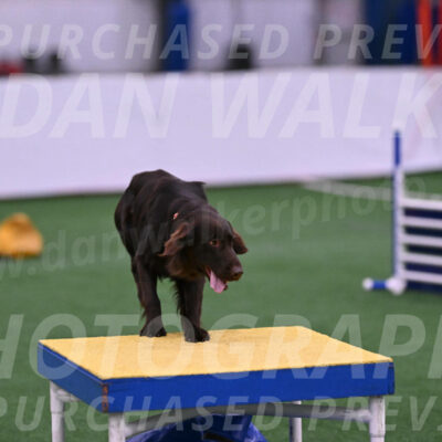 Ares-Holly-Everhart-00915