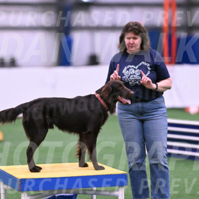 Ares-Holly-Everhart-00917