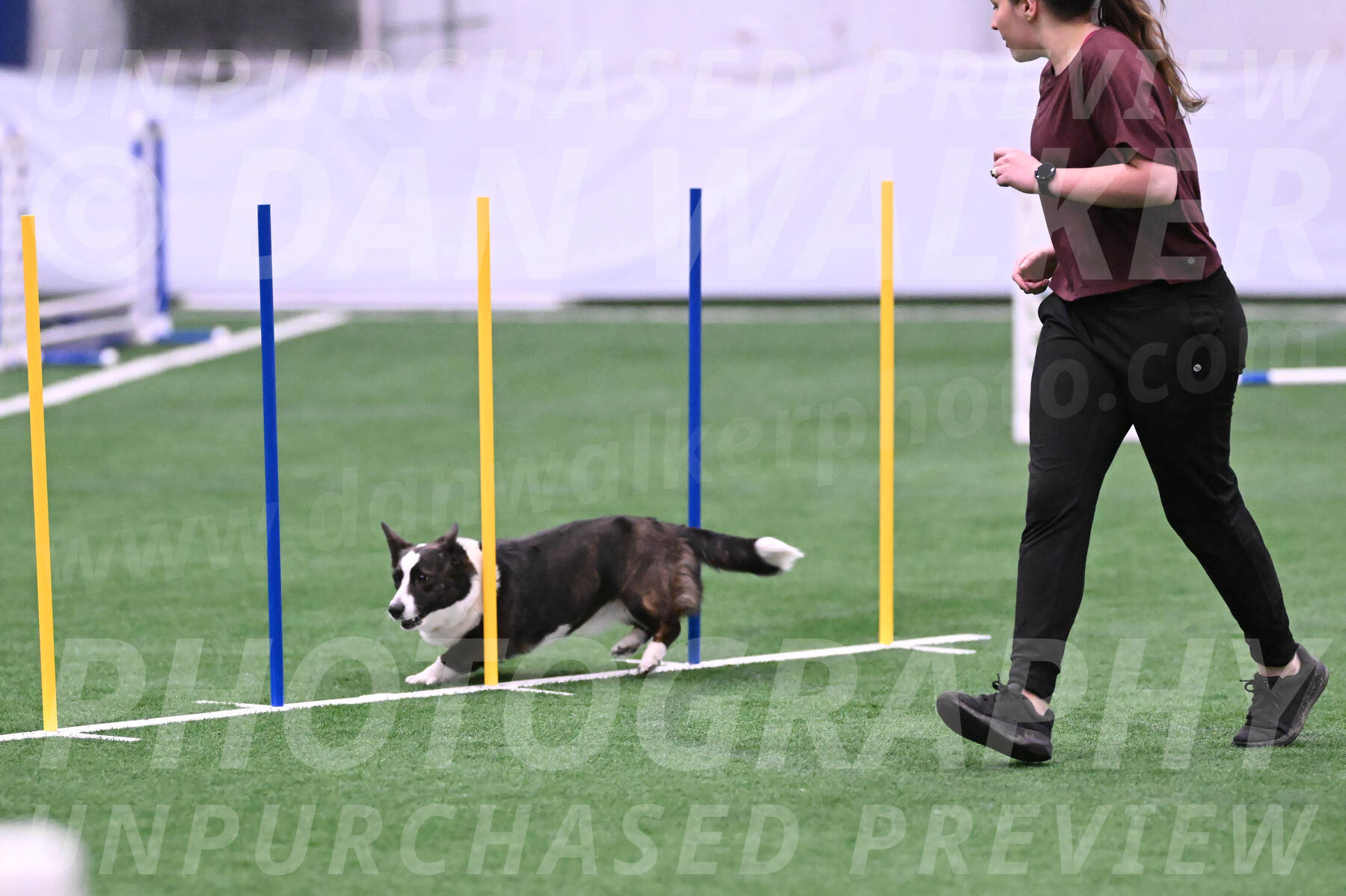 Audacity-Alicia-Santin-02284