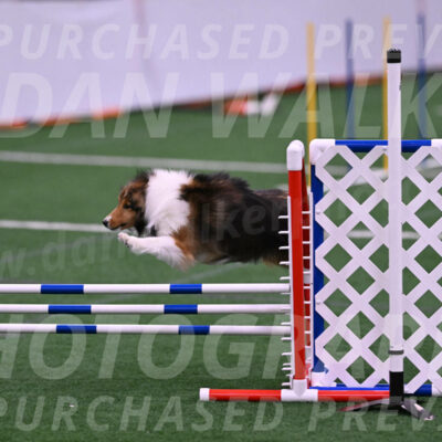 Aurora-Suzanne-Stachurski-08753