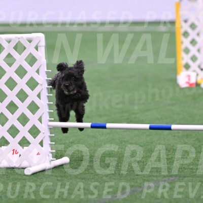 Aweggie-Kay-Rackley-03337