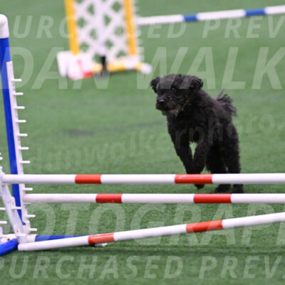 Aweggie-Kay-Rackley-03381