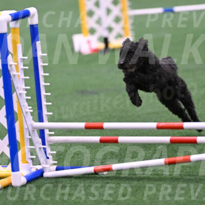 Aweggie-Kay-Rackley-03382