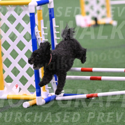 Aweggie-Kay-Rackley-03386