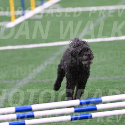 Aweggie-Kay-Rackley-03404