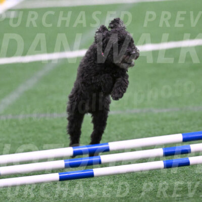 Aweggie-Kay-Rackley-03406