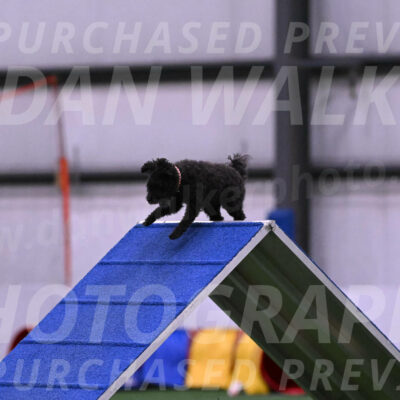 Aweggie-Kay-Rackley-03432