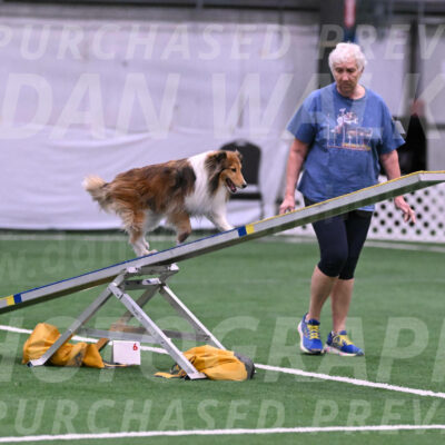 Bailey-Barb-Schmauder-05914