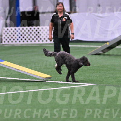 Baker-Debbie-Ranallo-06810