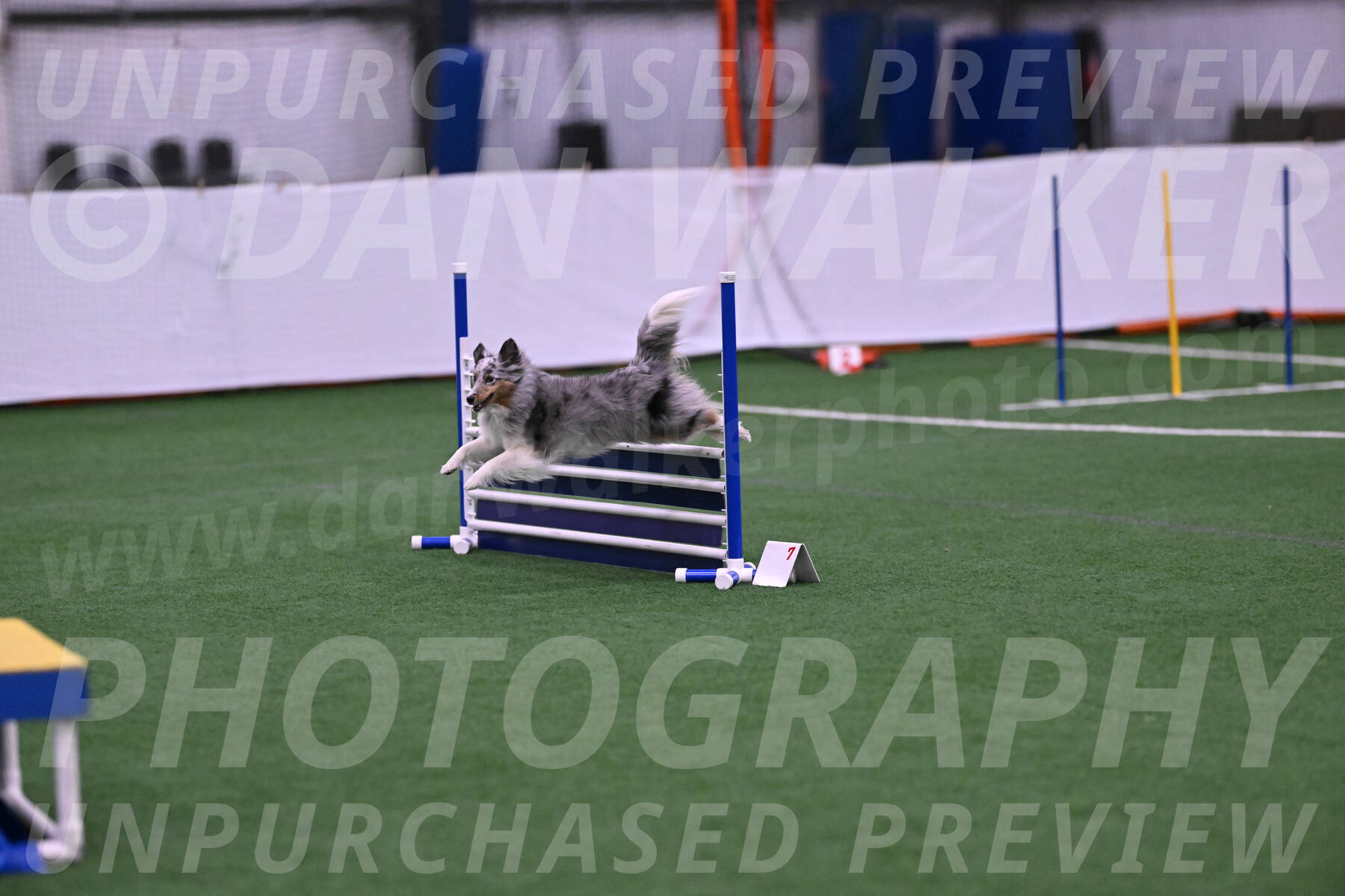 Bander-Snatc-Cherie-OConnor-08262