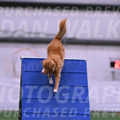 Basil-Cindy-Fink-06228