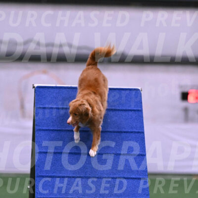Basil-Cindy-Fink-06229
