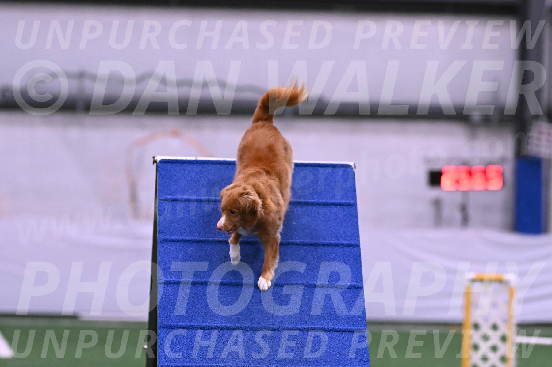 Basil-Cindy-Fink-06229
