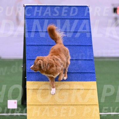 Basil-Cindy-Fink-06231