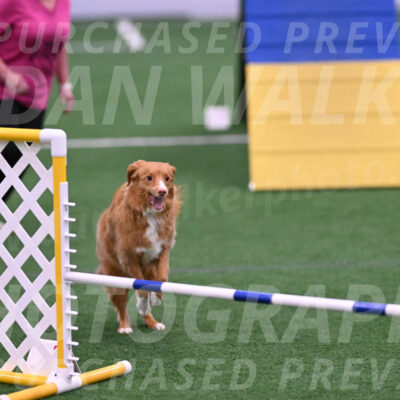 Basil-Cindy-Fink-06237
