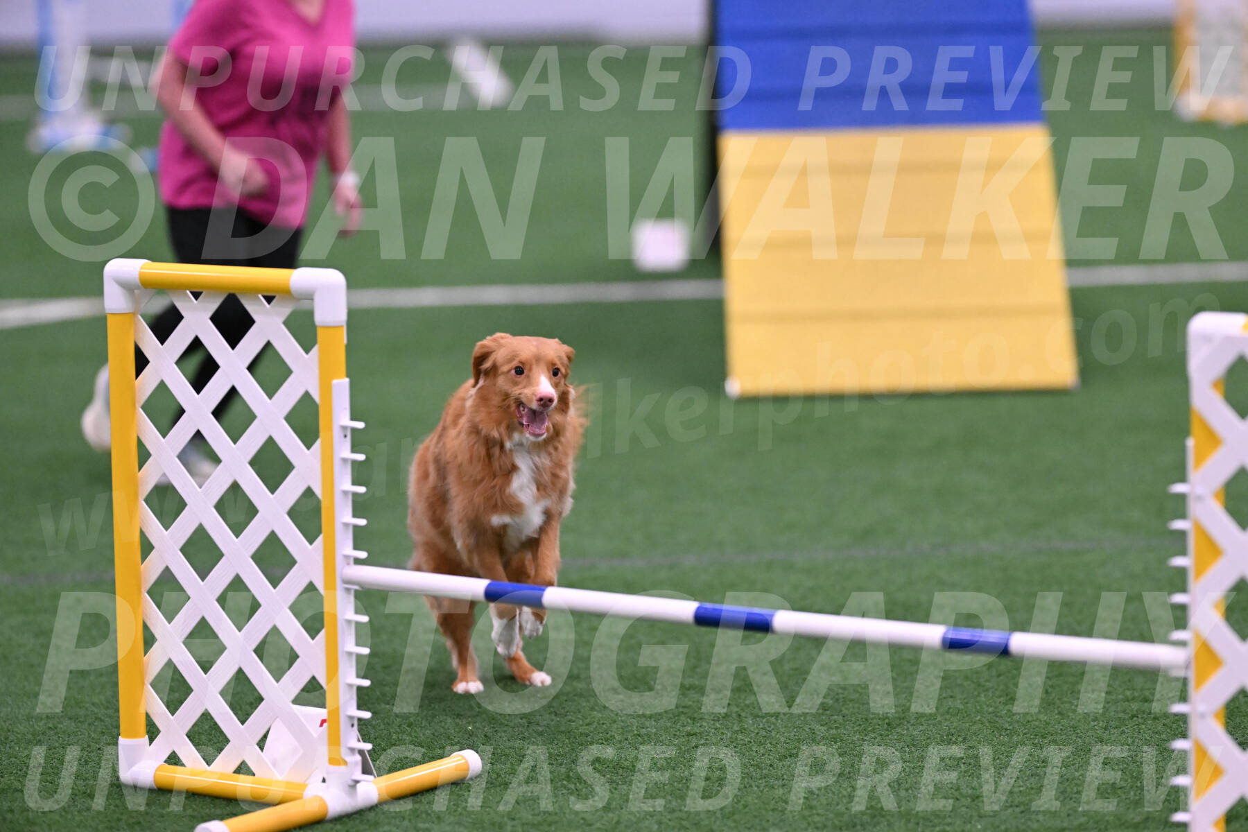 Basil-Cindy-Fink-06237