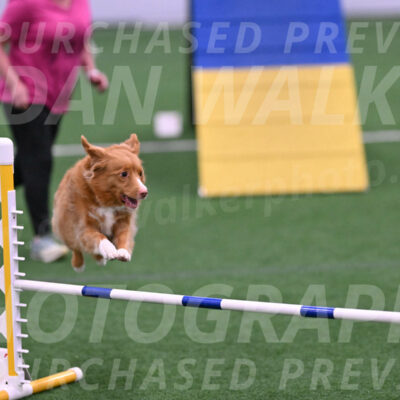 Basil-Cindy-Fink-06240