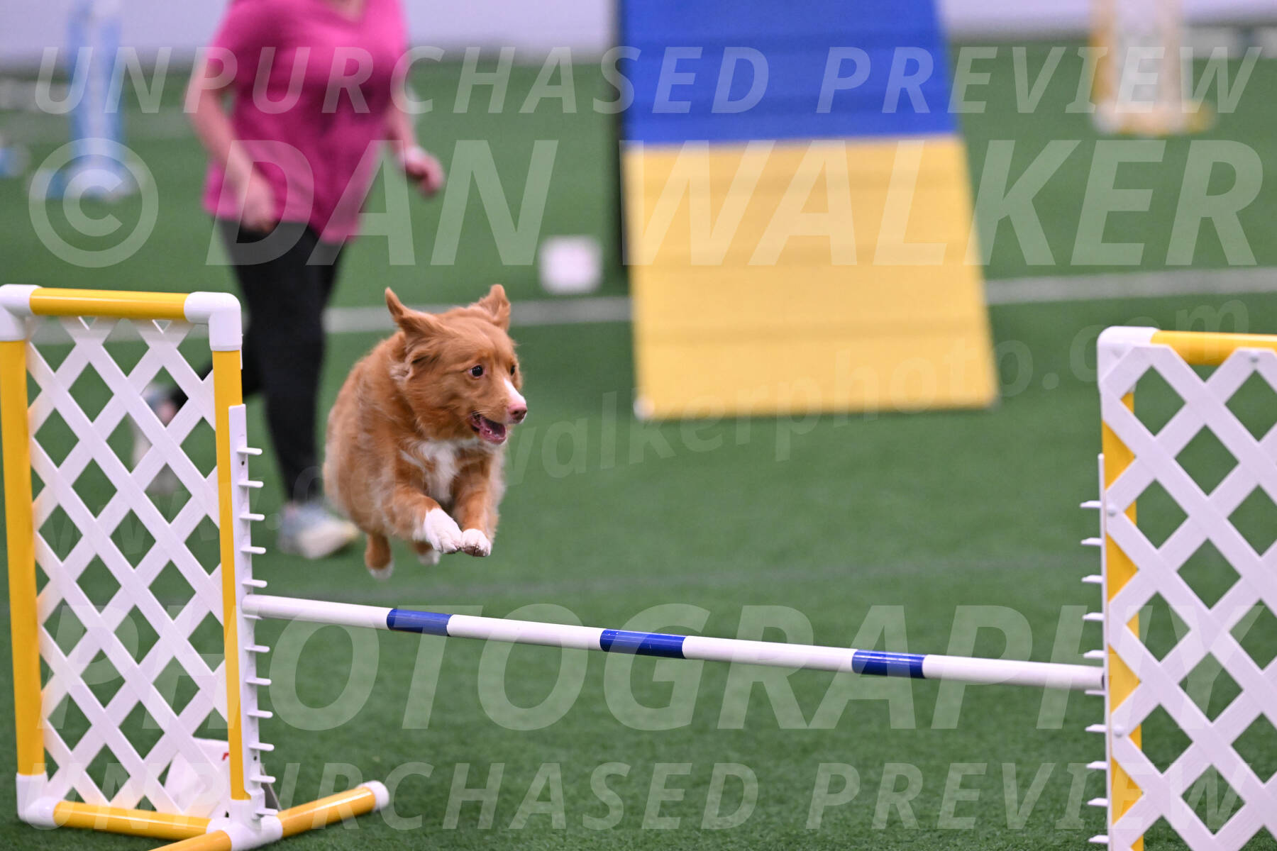 Basil-Cindy-Fink-06240