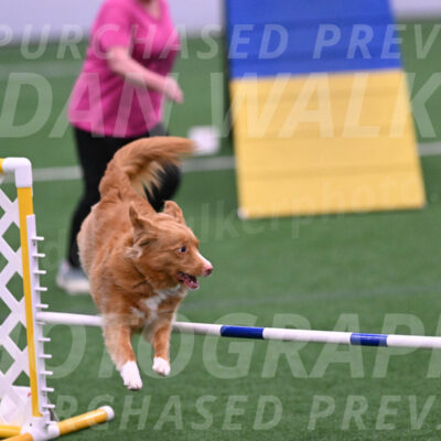 Basil-Cindy-Fink-06242
