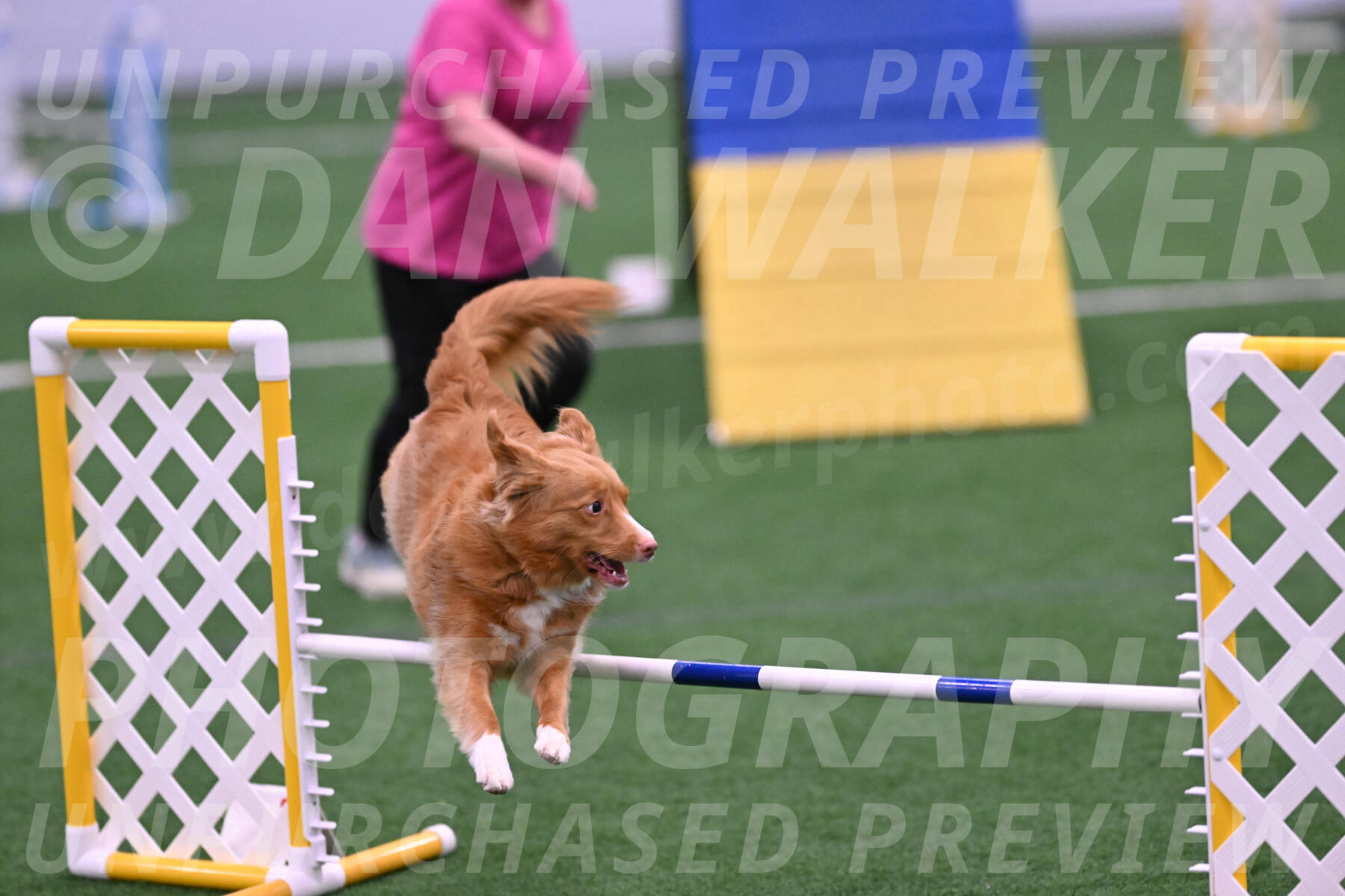 Basil-Cindy-Fink-06242