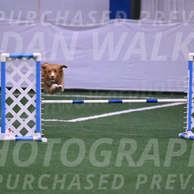 Basil-Cindy-Fink-06244