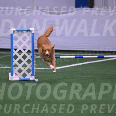 Basil-Cindy-Fink-06246