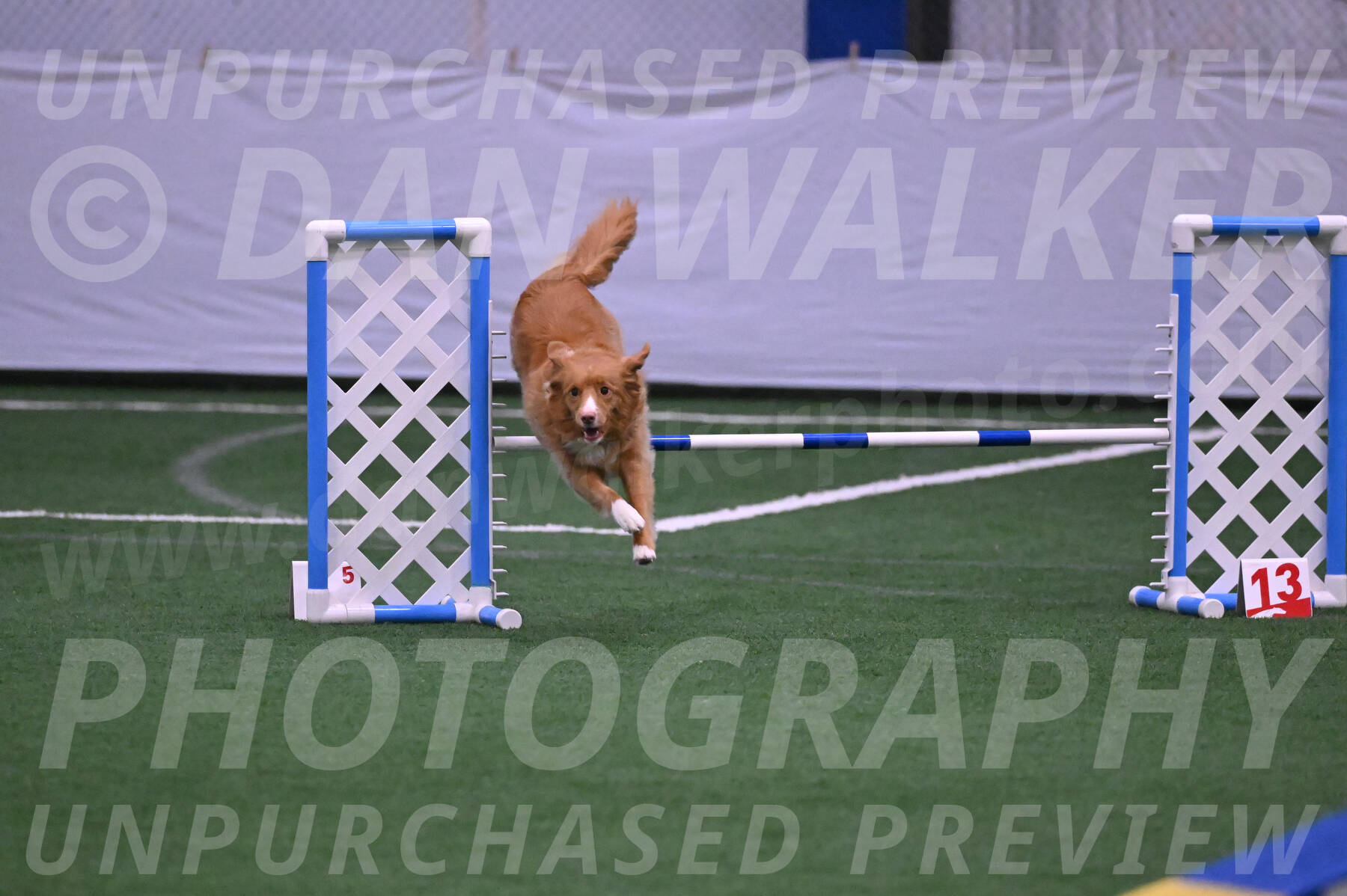 Basil-Cindy-Fink-06246