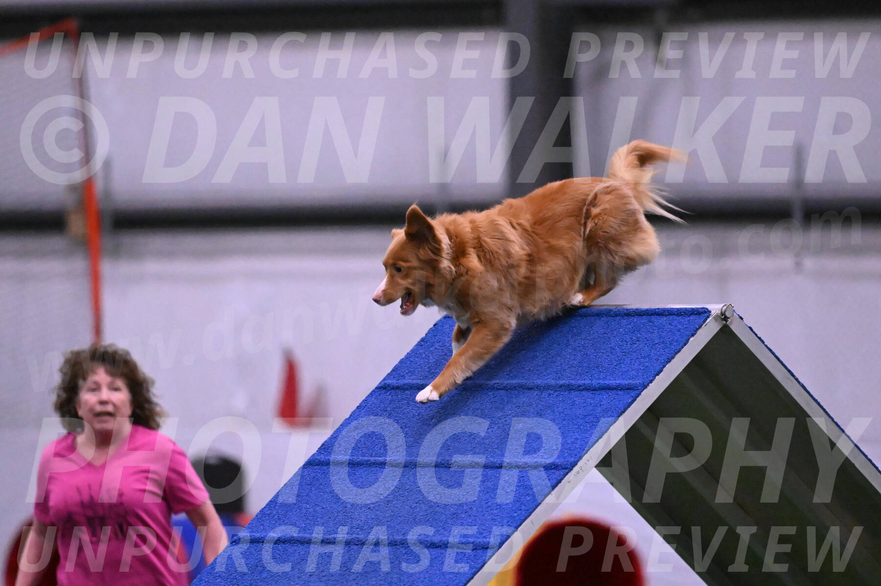 Basil-Cindy-Fink-06255