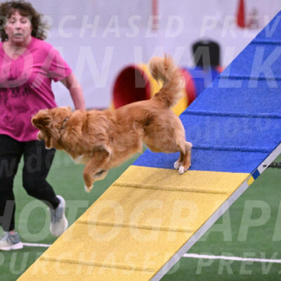 Basil-Cindy-Fink-06261