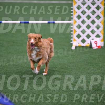 Basil-Cindy-Fink-06271