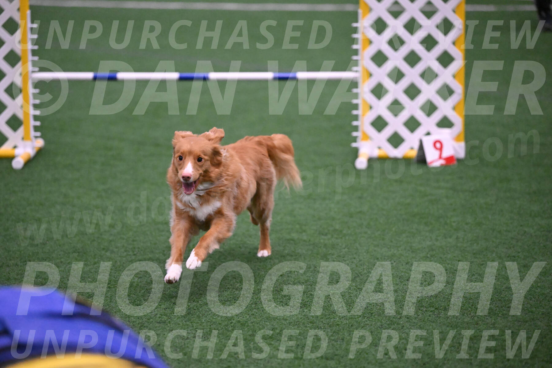 Basil-Cindy-Fink-06272