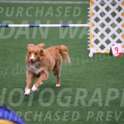 Basil-Cindy-Fink-06272