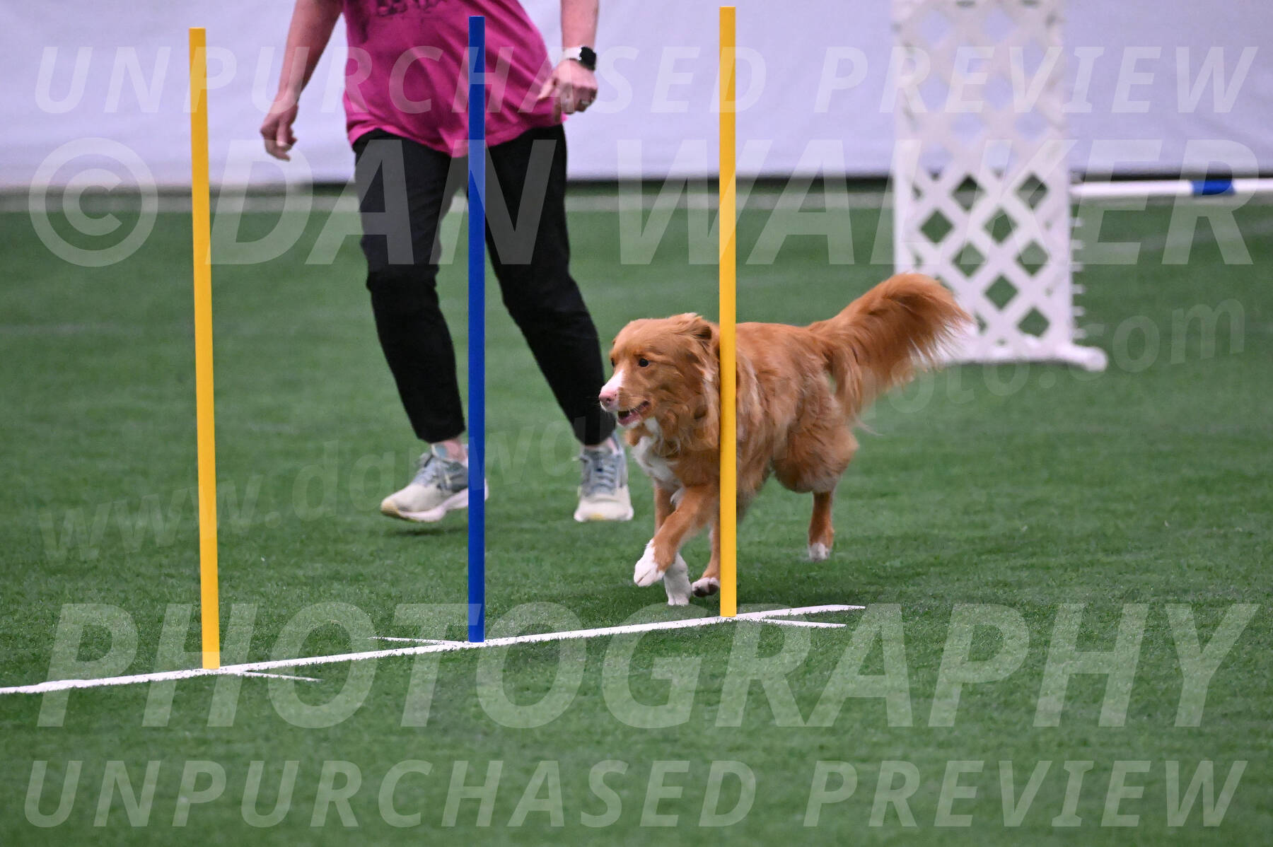 Basil-Cindy-Fink-06281