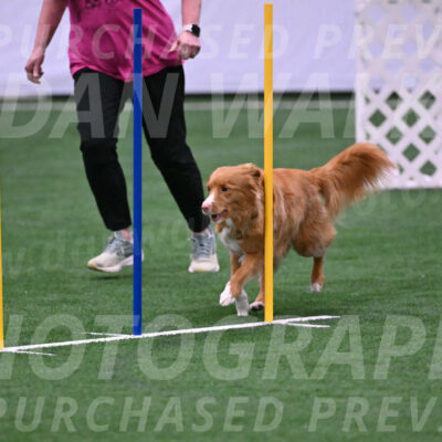 Basil-Cindy-Fink-06281