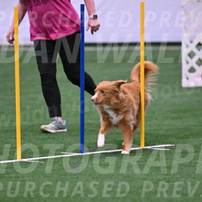 Basil-Cindy-Fink-06282