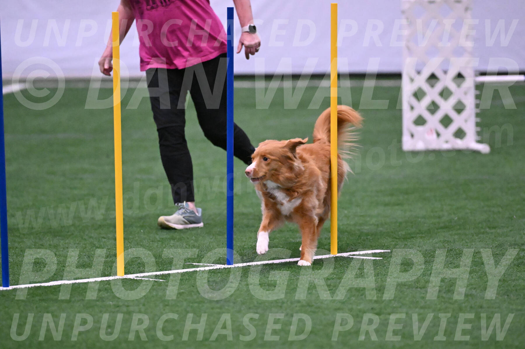 Basil-Cindy-Fink-06282