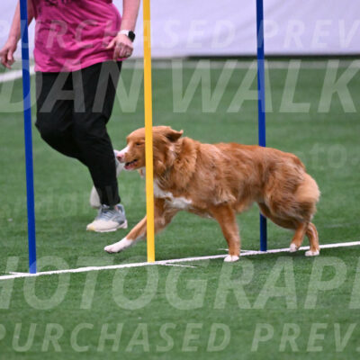Basil-Cindy-Fink-06284