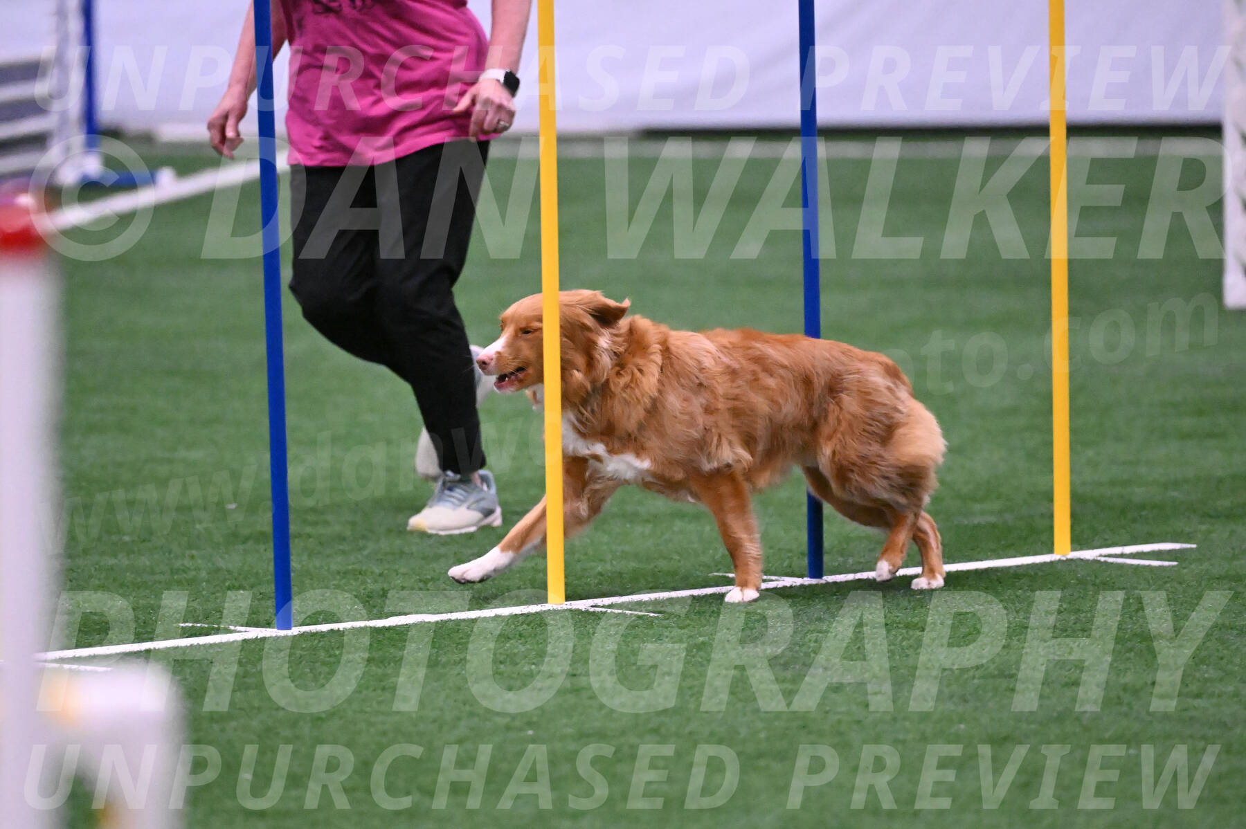 Basil-Cindy-Fink-06284